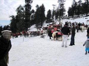 Kufri